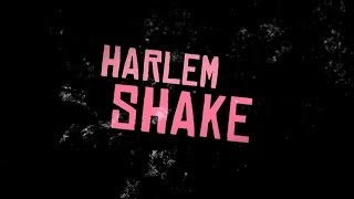 The Funniest Harlem Shake  EVER - BUTTER KNIFE EDITION