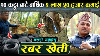 १० कठ्ठाबाटै लाखौँ कमाई हुने व्यावसायिक रबर खेती || Rubber Farming in Nepal || Wave Nepal