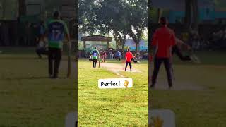 Perfect ball #cricketlover