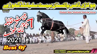 Super Chokri l Pakistan Best Selected Horses of Dance Competation Pakistan Punjab l 2021 l Horse