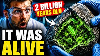 They Cracked Open a 2-Billion-Year-Old Rock… and Found Life