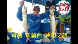 [新手釣魚佬] 2018年10月17日 青馬艇釣 法蘭西 狂咬半小時