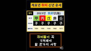 [2023년 띠별 운세1탄] 쥐(子)띠들이 반드시 명심(?)해야 할 한가지/三災(삼재)걱정말고 적극적이고 과감해야 성과(?)가 나타난다.