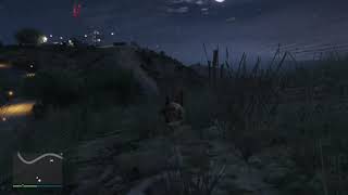 Grand Theft Auto V - Peyote trip - Deer & Chicken