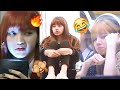 Lisa funny moments tiktok part 1 😂🔥