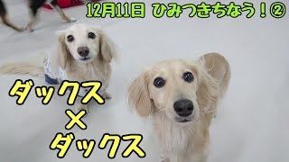 ダックス×ダックス 【ひみつきちなう！②】2017年12月11日