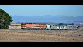 In early morning sun, ALF21+CLF6+ALF24 lead a GWA grain train eastbound through Tatyoon, Victoria