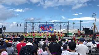 第15回紀州よさこい祭り おどるんや 夢天翔