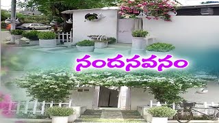 White House @ Guntur | This Family Create Beautiful House | from Wastage