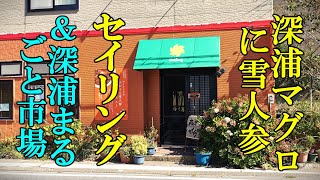 深浦の魅力たっぷり、深浦マグロに雪人参！セイリング＆深浦まるごと市場【青森県西津軽郡深浦町】