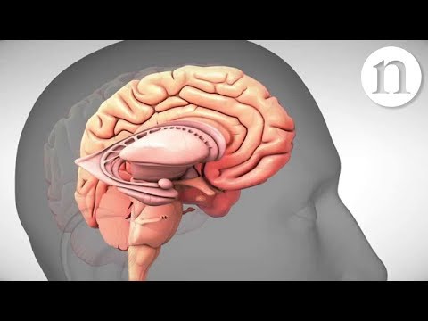 Depression and its treatment Depression and its treatment