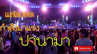 เพลงกำลังมาแรง ปานามา แสดงสดล่าสุดวงเอฟซีแบนด์ fc band