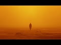 The Cinematography of Blade Runner: 2049 (Film Edit)