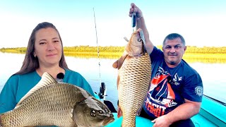 Crazy Carp Bite! Fishing with Humor and DINNER from CAUGHT FISH