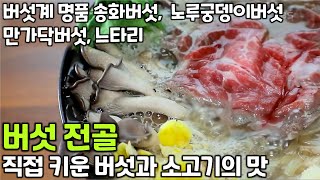 버섯전골과 버섯탕수육~ 버섯향 가득한 육수와 쫄깃한 버섯의 맛!  [2TV 생생정보] | KBS 221014 방송