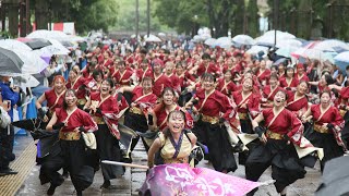 光が丘よさこい20190714　33F　おどりんちゅ