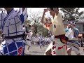 春の祭典　ソメイヨシノ編　中央公園お花見広場　2023 4 2