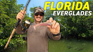 Exploring Florida Everglades with Paddletails and Shrimp Lures | Grouper, Snapper, Snook, and Reds