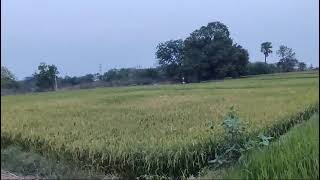 theegala gutta palli | Karimnagar beautiful places