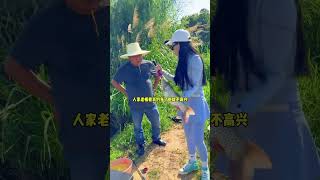 美女釣上巨大青魚，一個人抱不動！ 【女釣友微微】#釣魚 #fishing #drama #shorts