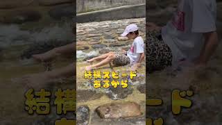 解禁！！#shortvideo #shorts_ #short #shorts #shortvideos #スライダー #水遊び #川遊び #夏 #プール #川 #楽しい #夏休み #海