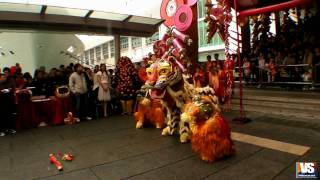 2010-Feb-14 #香港中國農曆新年 #HongKongChineseLunarNewYear #LionDance @ 海港城 Ocean Terminal