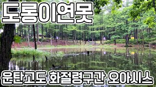 정선, 도롱이연못 / 운탄고도 화절령구간의 데칼코마니 풍경 오아시스