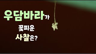 우담바라가 꽃피운 사찰은?