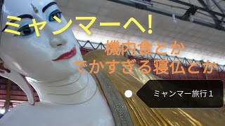 ミャンマーでの旅行の様子　機内食とかでかすぎる寝仏とか