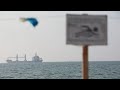 cargo ship with wheat leaves ukraine