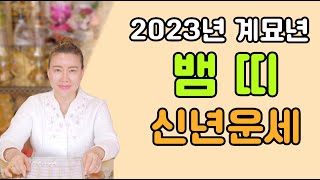 [신년운세] 2023년 계묘년 뱀 띠 신년운세! (23세부터 71세까지!)