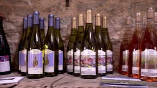 Nutbourne Vineyards - Award winning English wine by the Gladwin Brothers