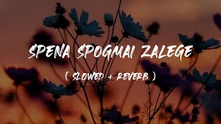 Spena spogmai zalege (slow+ reverb) song | Rahim shah | pashto song|