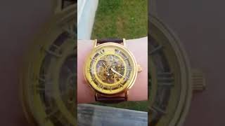 Sewor Men's Gold Skeleton Wonderful Steampunk Fashion Watch!