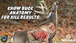 Anatomy of a Whitetail | Anatomy Hunter | The Mobile Hunter Podcast