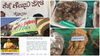 ಗಡ್ಡೆ ಗೆಣಸು ಮೇಳ |Gadde Genasu Mela |roots and tubers on display at Mysuru-2021