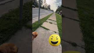 Sidewalk Accessibility!