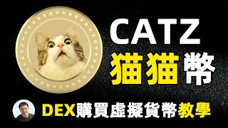 如何在第一时间在去中心化交易所购买最新上市的虚拟货币｜猫猫币CatzCoin|如何在DEX上购买未上市CEX的虚拟货币教学｜币安链钱包教学