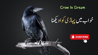 Crow In Dream || Dream Info || khwab mein kawa dekhna || خواب میں پہاڑی کوا دیکھنا