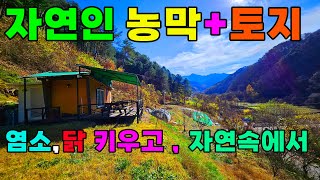 자연인 이승윤도 안부러운 소양호 오지마을 자연인토지와 농막 #자연인토지#자연인땅#자연인오지