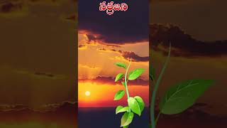 NUTRIENTS - 2 మొక్కకు అవసరమయ్యే పోషకాలు N P K #npk #npkfertilizer #kharifcrops #rabicrops #season