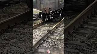 The manual braking process of a train- Good tools and machinery can quickly improve work efficiency