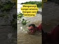 mengarungi sungai amazon dengam cara berenang #shorts