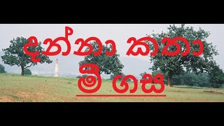 දන්නා දේවල් ගැන දන්නා කතා - මී ගස