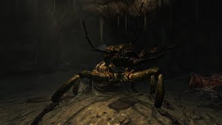 The Biggest Creature in Fallout: New Vegas
