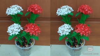 DIY bunga Asoka dari sedotan plastik/DIY Ixora coccinea flower from plastic straw,