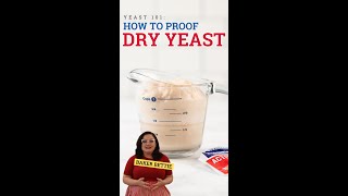 Yeast 101: How To Proof Dry Yeast