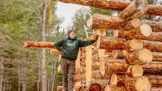 Levelling and squaring the top logs, Dealing with a bent log