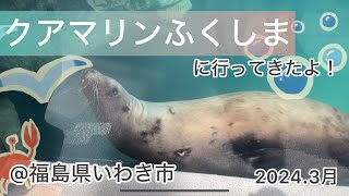 福島県いわき市のアクアマリンふくしまに行ってきた🐟年齢問わず楽しめます😉