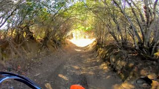 Cow Mountain OHV The Secret Trail 2020